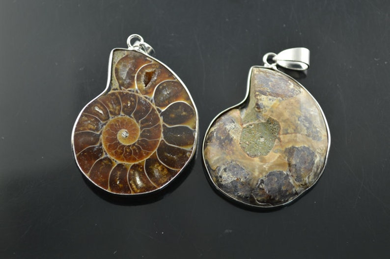 May include: Two silver ammonite fossil pendants. One pendant is brown with a detailed spiral pattern. The other pendant is a light brown with a more muted pattern.