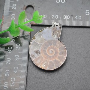 May include: A silver pendant featuring a fossilized ammonite with a brown and white spiral pattern. The pendant is approximately 4 cm in diameter.