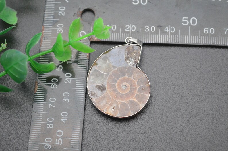 May include: A silver pendant featuring a fossilized ammonite with a brown and white spiral pattern. The pendant is approximately 4 cm in diameter.