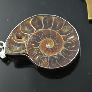 May include: A silver pendant featuring a fossilized ammonite with a brown and white swirl pattern. A small clear rhinestone is set in the center of the ammonite.