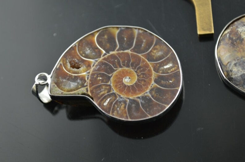 May include: A silver pendant featuring a fossilized ammonite with a brown and white swirl pattern. A small clear rhinestone is set in the center of the ammonite.
