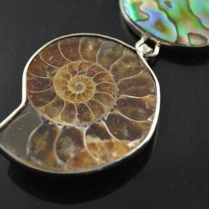 1pc Natural Ammolite Stone Abalone shell Pendant fit fashion jewelry making image 4