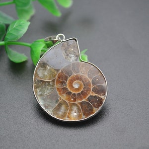 1pc Natural Ammolite Shell Fossil Stone Pendant fit fashion jewelry making image 4
