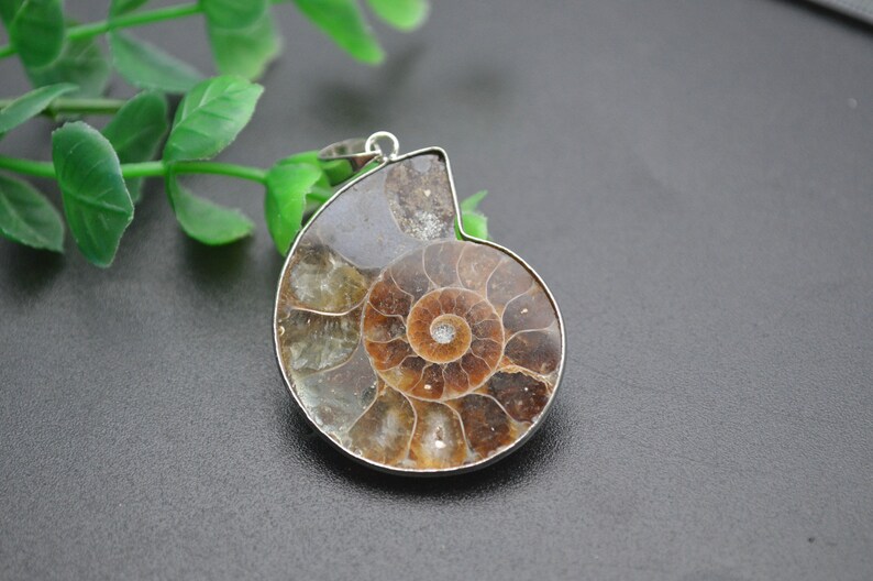 1pc Natural Ammolite Shell Fossil Stone Pendant fit fashion jewelry making image 4