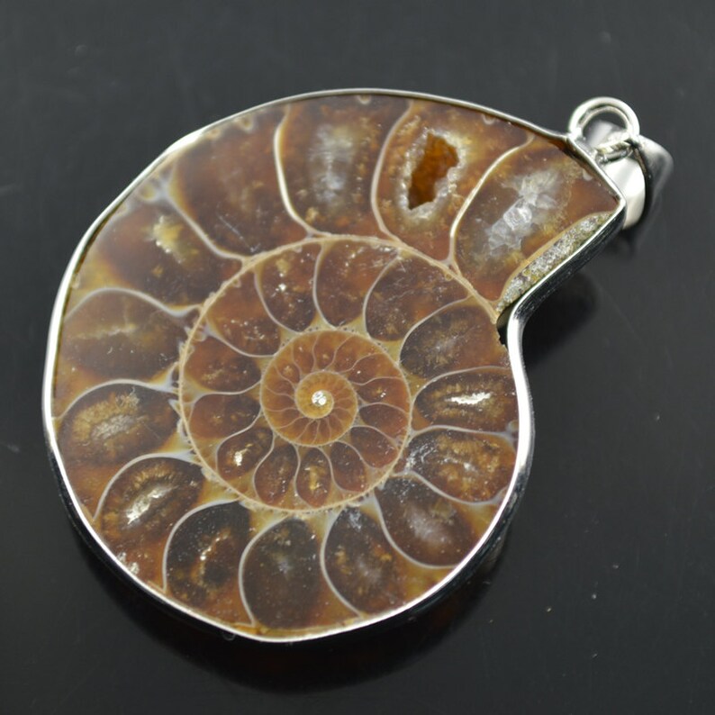 May include: A brown and white ammonite fossil pendant with a silver setting. The fossil is a spiral shape with a detailed pattern.