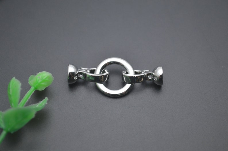 May include: A shiny silver clasp with a circular central ring and two rounded end pieces. The clasp is set against a dark grey background. A small green plant is in the lower left corner of the image.