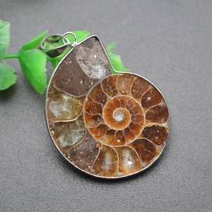 May include: A silver pendant featuring a fossilized ammonite with a spiral pattern in shades of brown, beige, and white.