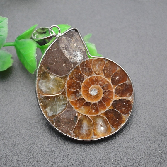 1pc Natural Ammolite Shell Fossil Stone Pendant fit fashion jewelry making