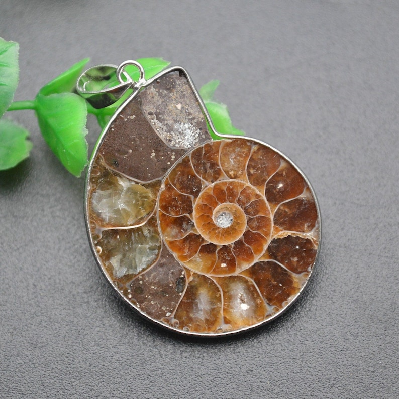 May include: A silver pendant featuring a fossilized ammonite with a spiral pattern in shades of brown, beige, and white.