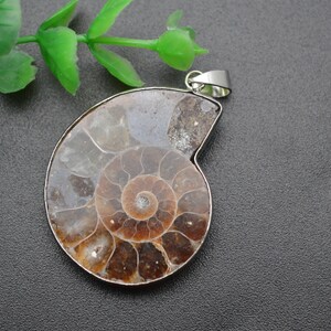 May include: A silver pendant featuring a fossilized ammonite with a brown and white swirl pattern.