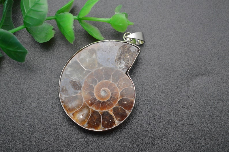 May include: A silver pendant featuring a fossilized ammonite with a brown and white swirl pattern.