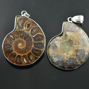 May include: Two silver ammonite fossil pendants. The ammonites are brown and have a spiral shape. The pendants are about 2 inches in diameter.