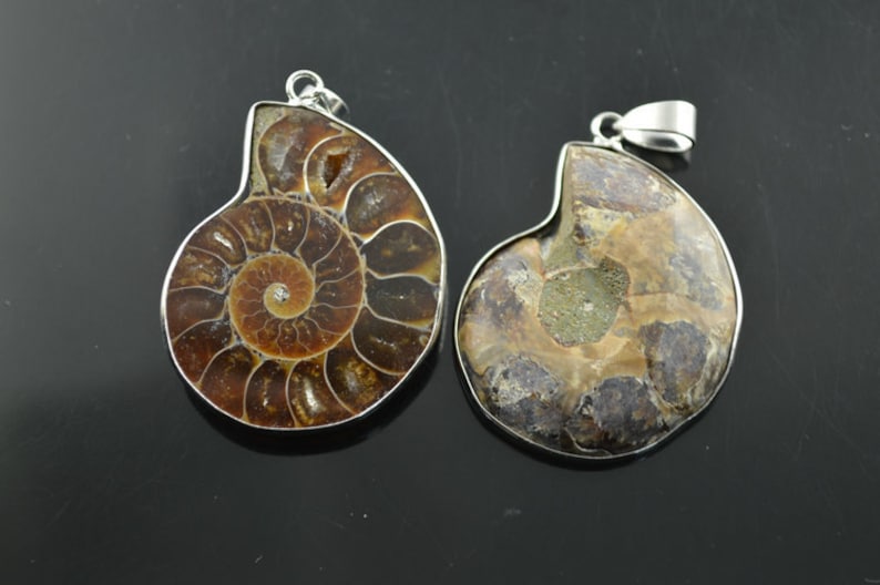 May include: Two silver ammonite fossil pendants. The ammonites are brown and have a spiral shape. The pendants are about 2 inches in diameter.