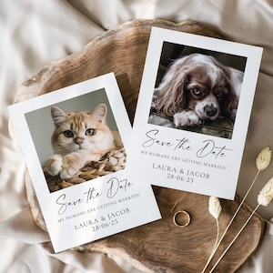 Haustier Save the Dates, Meine Menschen Save the Date Karten, Hund Save the Date, Foto Save the Date, Hochzeit Save the Dates Katze