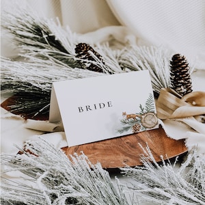 Tarjetas de lugar en forma de cono de invierno, tarjetas de lugar con nombre para bodas de invierno, tarjetas de asientos para bodas, configuración de mesas para bodas, Navidad, rústico