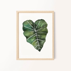 Elephant Ear Plant Print, Tropical Decor, Watercolor Painting, FREE SHIPPING, Tropical Wall art, painting print, art print
