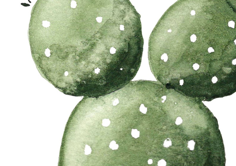 Cactus Watercolor Art Print Set: Desert Botanical Wall Decor - Etsy