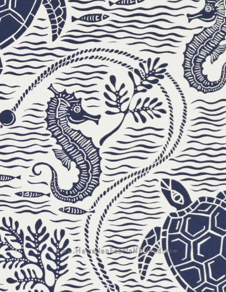 tropical seahorse for sale