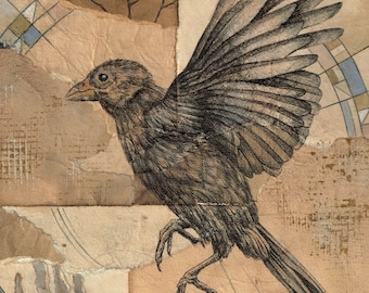 Wingbeats (mus art print, giclée, pen en inkt mixed media tekening)