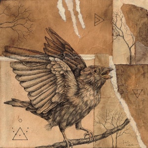 Angular Intensions (sparrow art print, giclée, pen and ink drawing)