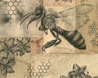 Vlucht van een architect - Bee Art Print