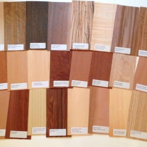 Könnte beinhalten: Eine Sammlung von 30 Holzfurnierproben, jede mit einem anderen Holzmaserungsmuster und einer anderen Farbe. Die Proben sind in drei Reihen zu je zehn angeordnet, wobei jede Probe mit der Holzart beschriftet ist.
