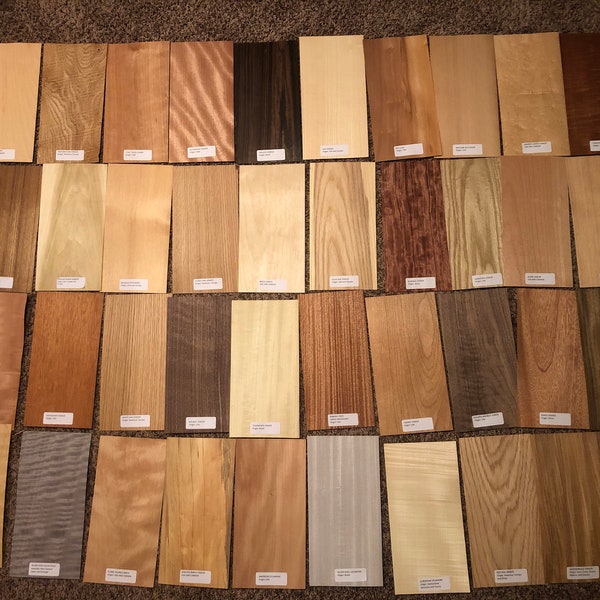 WOOD VENEER 40 labeled pieces mixed domestic exotic variety art pack inlay 6" x 12" cricut marquetry