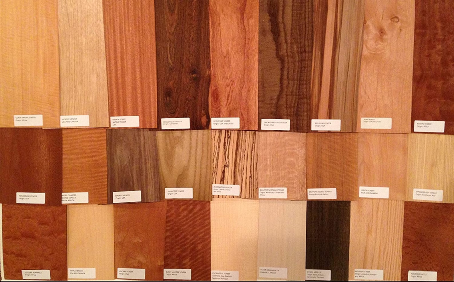 WOOD VENEER 40 labeled pieces mixed domestic exotic variety Etsy