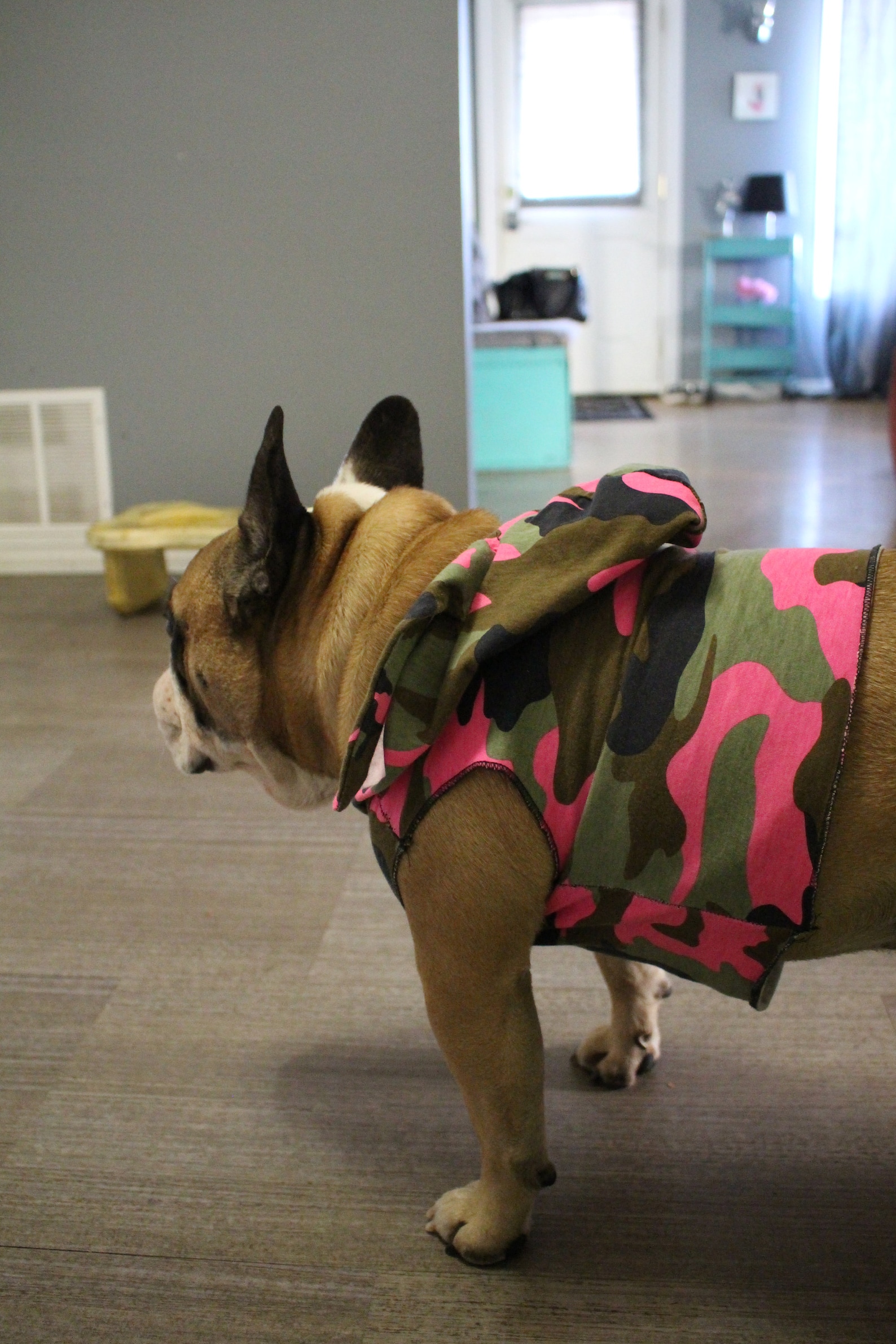 PUPPY Clothes in Canada Dog Clothing in Canada Puppy Etsy