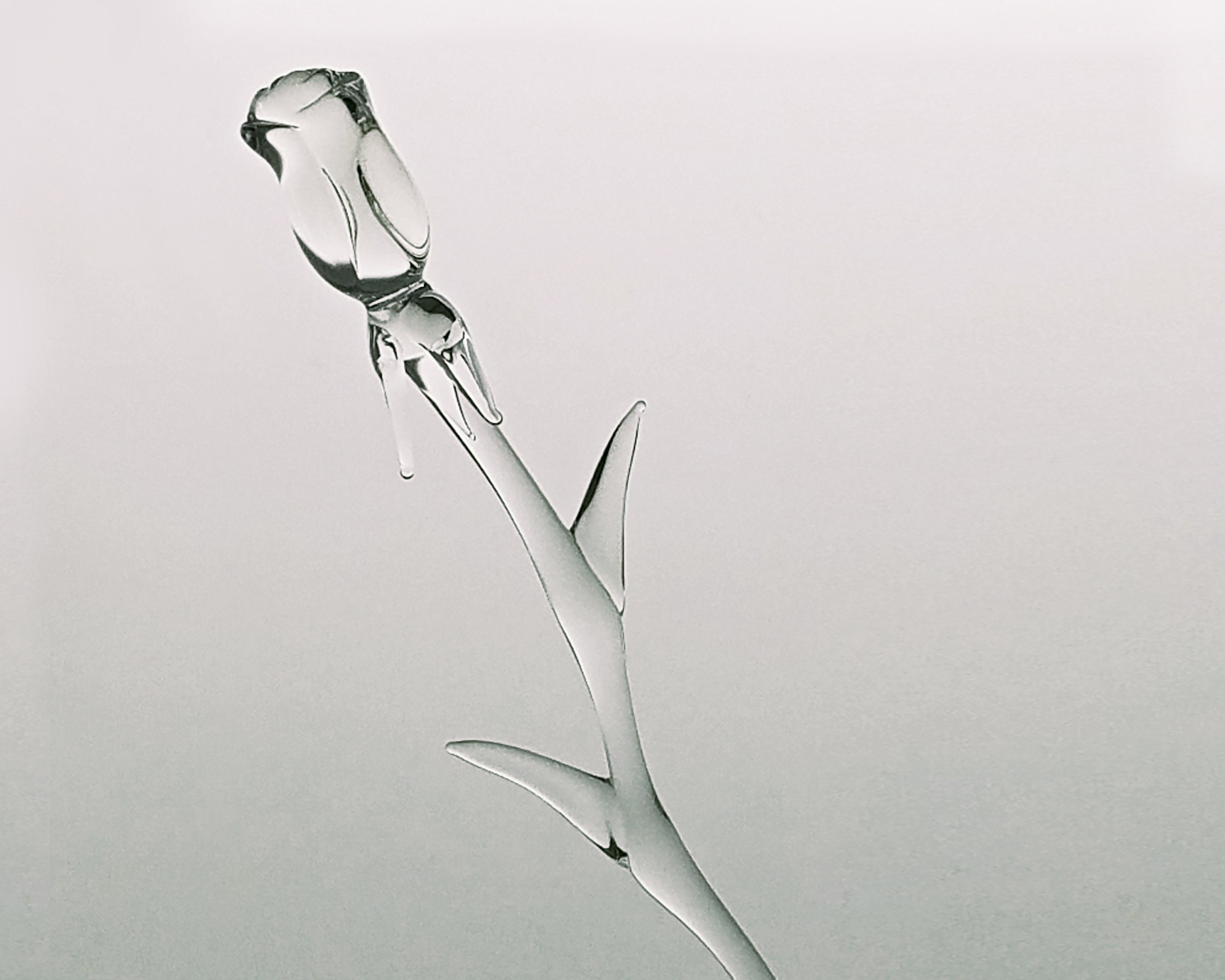 Beautiful Crystal Clear Glass Rose.a Unique Peter Lambshead Design to ...