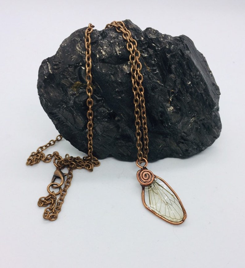 Cicada Wing Necklace Cicada wings Resin Necklaces necklaces insect wings