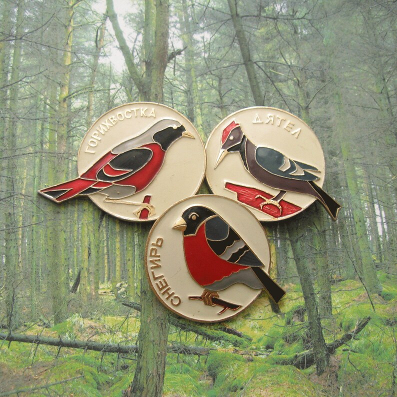 Vintage Birds Pins Bird Lapel Pin Birds Charms Birds Pin Etsy
