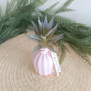 Peut inclure: Un petit vase en céramique rose avec une texture côtelée contient une plante succulente artificielle. Le vase est muni d'une petite étiquette sur laquelle est inscrit "Merci".