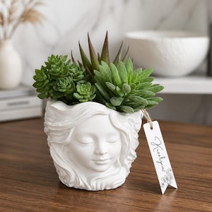 Pot Décoratif Visage Féminin avec Succulentes