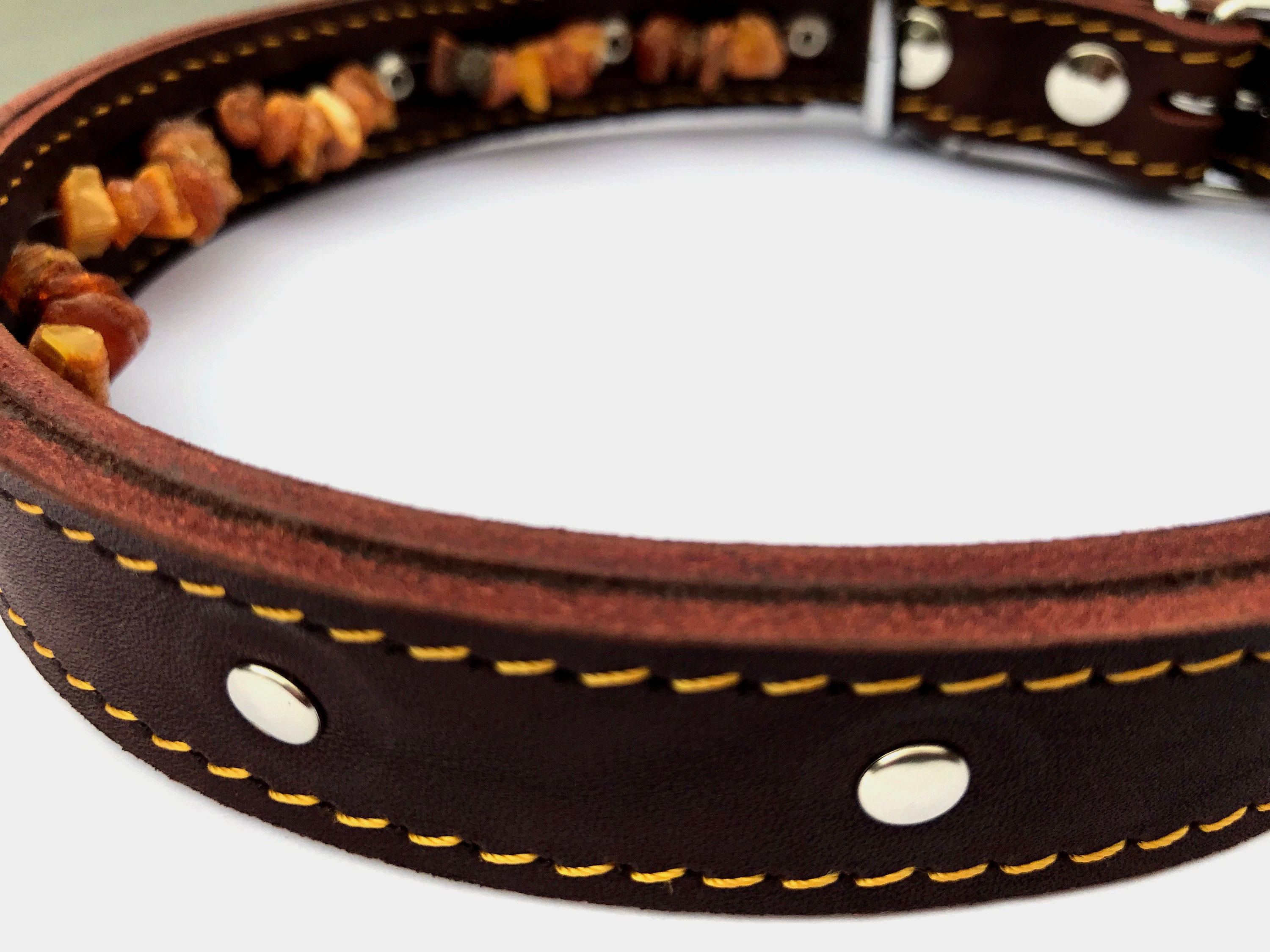 Leder und Baltisches Bernsteinhalsband für Hund Natural Tick Etsy