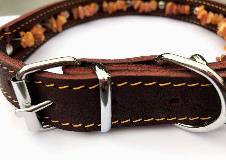 Leather and Baltic Amber Collar for dog Natural Tick & Flea Etsy