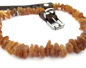 Collar de ámbar báltico para perro, repelente natural contra garrapatas y pulgas, varios tamaños