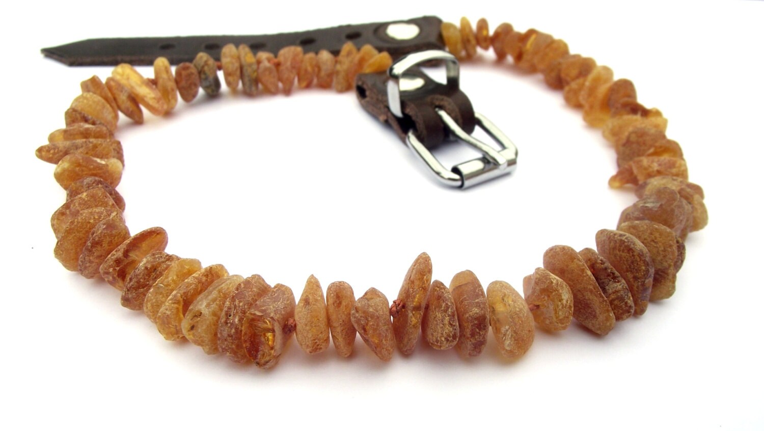 Baltisches BernsteinHalsband für Hund Natural Tick &amp; Etsy