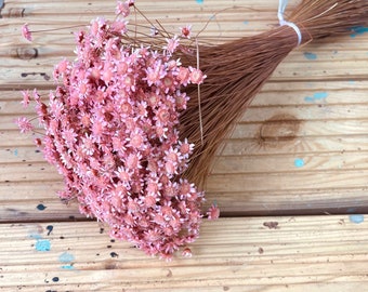 Glixia Dried Flower Bunch Bouquet Wedding Home Decor