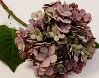 Hydrangea Stem Etsy