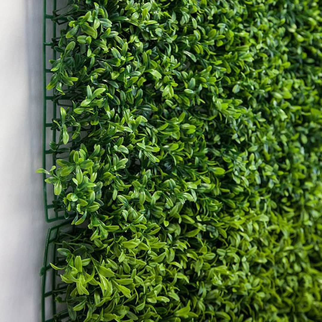 Green Hedge Artificial Wall Panel 50 X 50cm Event Summer Spring Venue