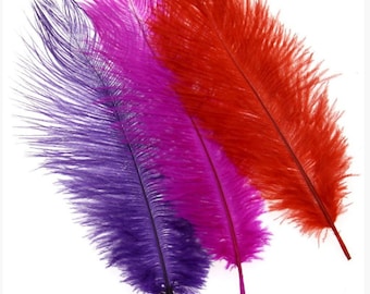 Individual Ostrich Feathers 65-70 Cm 4 Colours Decorative Feathers Wedding And Home Decor