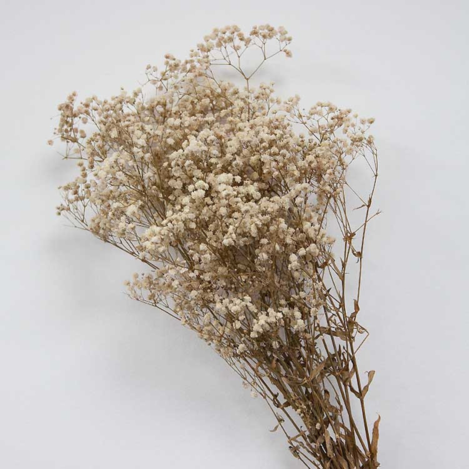 Babys Breath Dried Flower Bunch Bouquet Home Wedding Decor Etsy UK