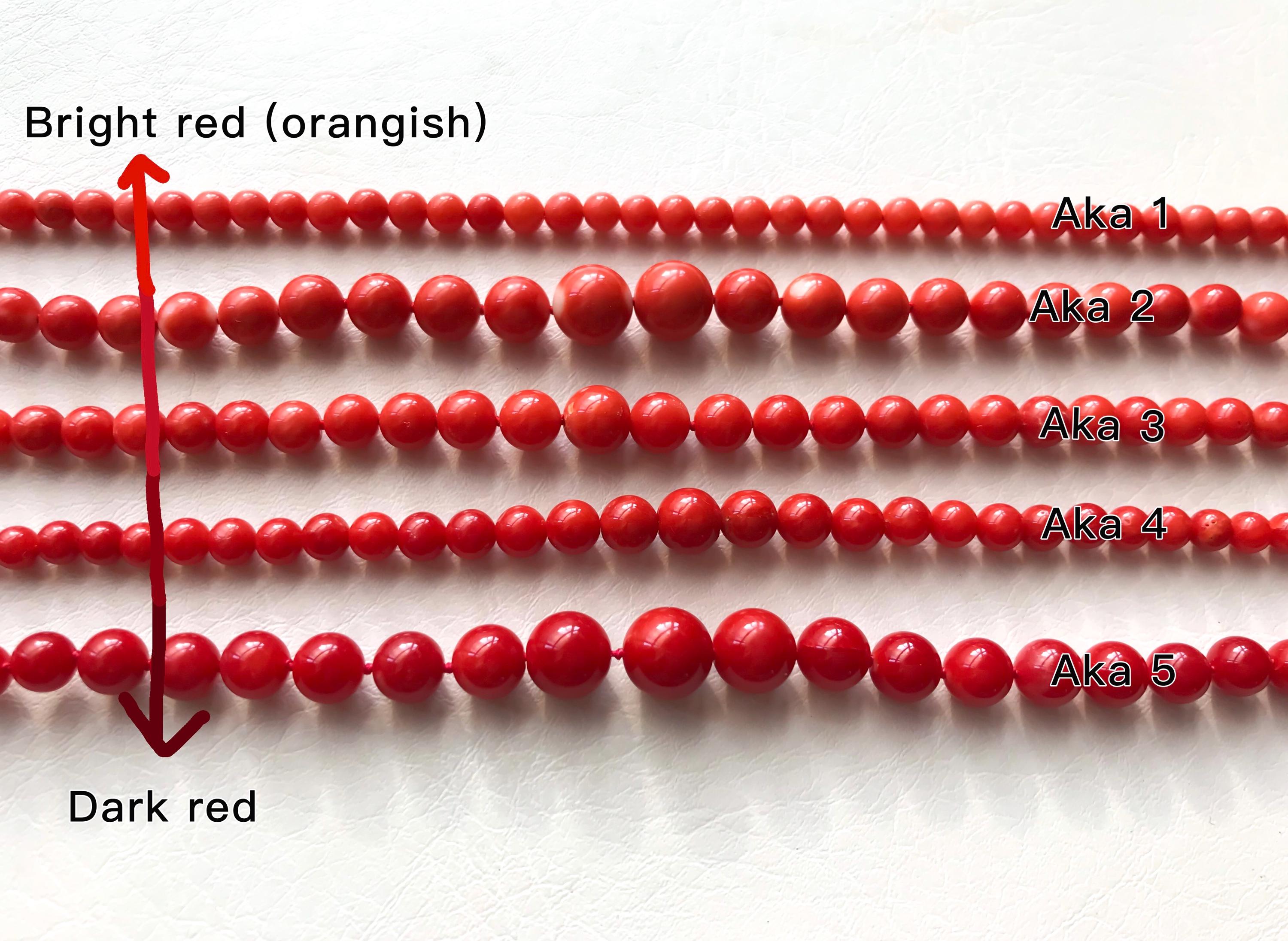 Top Quality Japanese Natural Blood Red (aka Coral) Coral Vintage 3 