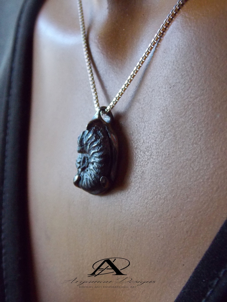 Fossilized Pendant Fossil Jewelry Natural Fossil Jewelry Etsy