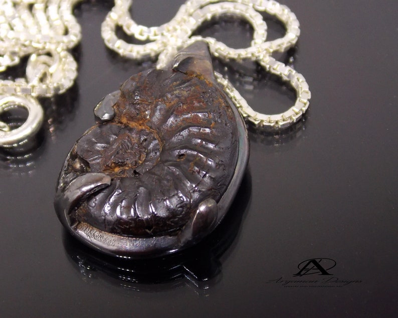 Fossilized Pendant Fossil Jewelry Natural Fossil Jewelry Etsy