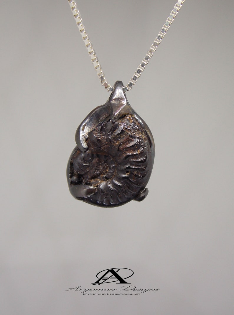 Fossilized Pendant Fossil Jewelry Natural Fossil Jewelry Etsy