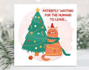 Divertente biglietto di Natale con gatto: per gli amanti dei gatti, amici, colleghi, familiari, dal gatto