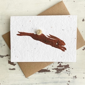 Leaping Hare Card - Carte de fleurs sauvages 100% biodégradable