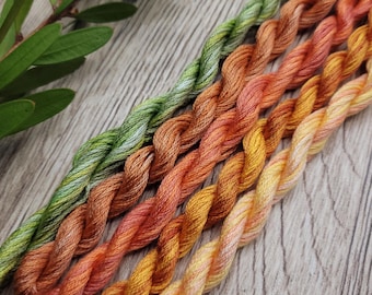 Hilo de bordar teñido a mano Canberra Autumn – Colección de hilos australiana